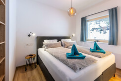 Top 1 H_Steiner-9345