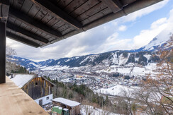 Top 2 H_Steiner-9260