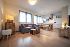 Living room with kitchen and sofa