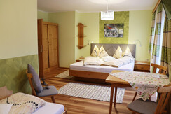 Bauernhof Haufhof Pension - FZ 