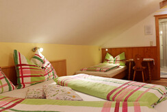 Bauernhof Haufhof Pension - DBZ 