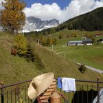 obrázek apartment/1 bedroom/shower, WC