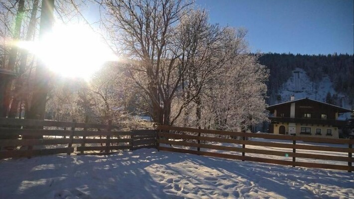 wohnung-liezen-ramsau-am-dachstein-kauf-garten-ima