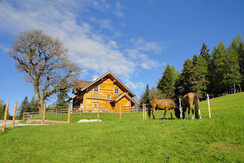 Bichlhütte mit unseren Pferden