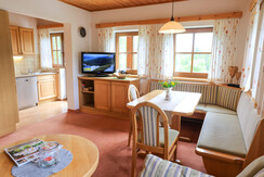 Gemütlicher Wohnraum mit Küchenecke