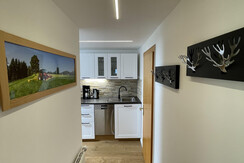 Appartement 1 Küche