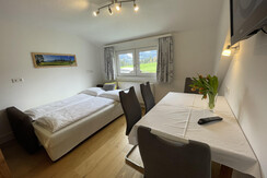 Appartement 1 Wohnraum