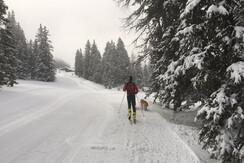 tourenski auf der Rittisberg