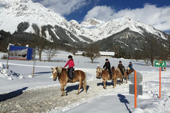 Pferde reiten im Ramsau