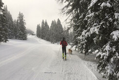 tourenski auf der Rittisberg