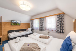 Chalet-am-See-Apartment-Haus-myNests-Aich-Schladmi