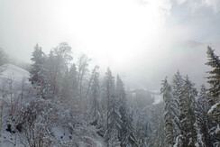 IMG_20240224_141226 (2)