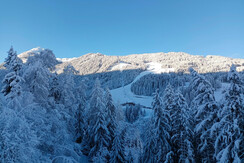 IMG_20240224_082005 (2)