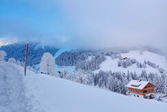 IMG_20240224_075724 (1)