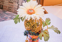 Fotos Wohnungen Landhaus Tritscher am 13.12.2021-9