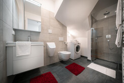 Bathroom with rain shower, washing machine & urinal