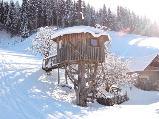 Das Dirtlergut - Baumhaus