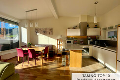 04PenthouseApartment-Tamino Top 10