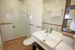 Second bathroom with shower and toilet