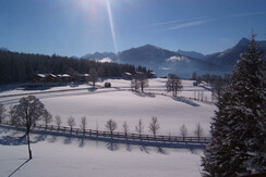 Ausblick vom Appartement