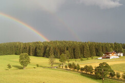Blick mit Regenbogen