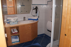 Bad_Runddusche+Elektrostrahler