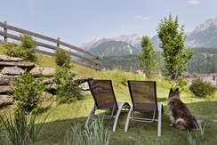 Apartment 6 with garden