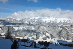 Ferienhaus Berghof 1 2019 013