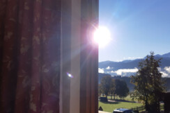 Blick aus dem Fichtenzimmer 