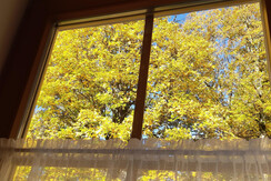 Blick aus dem Wohnzimmerfenster