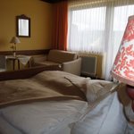 obrázek Třílůžkový pokoj, sprcha nebo vana, WC, balkón