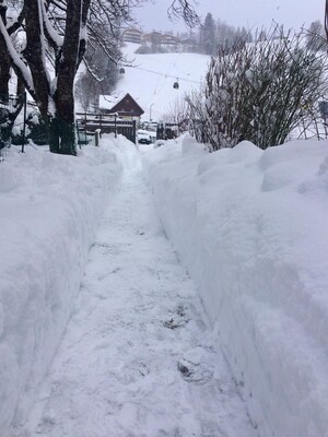 Durch den Garten zur Gondel
