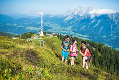Hauser Kaibling im Sommer