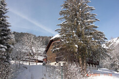 Fuchs'n Bau  Aussenanlage