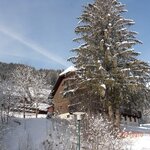 obrázek apartment/1 bedroom/shower, WC