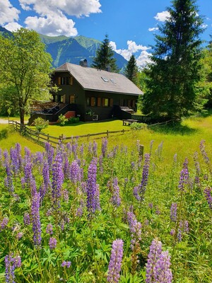 Fischerhütte | Frühsommer - Wilde Lupinen