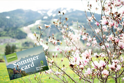 Gaestehaus-Erika-Gartenlodge-Hauser-Kaibling-myNes