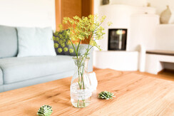 Gaestehaus-Erika-Gartenlodge-Hauser-Kaibling-myNes