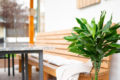 Gaestehaus-Erika-Gartenlodge-Hauser-Kaibling-myNes