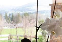 Gaestehaus-Erika-Gartenlodge-Hauser-Kaibling-myNes