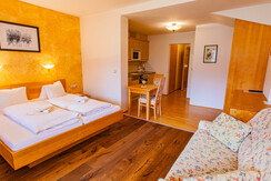 App. Kaibling, Planai, Labeck for 2 - 3 persons