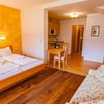 obrázek ap./combined living-bed-room/shower, WC