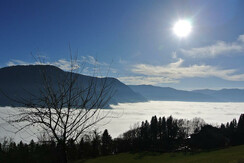 Ennstal im Morgennebel