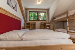 Apartment 1, Harrys Alm at Hauser Kaibling