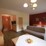 Photo of ap./combined living-bed-room/shower, WC