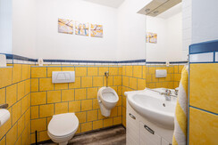 myNests-Apartment-Haus-Koell-Oeblarn-Schladming-Da