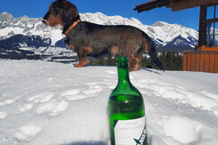 Aussicht, unsere kleine Frieda