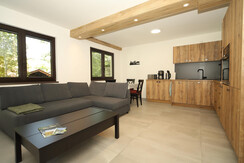 Kitchen-living room - sofa bed in front