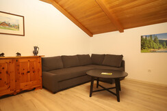 living room ( with bed sofa)