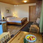 Photo of ap/combined living-bed-room/shower, WC